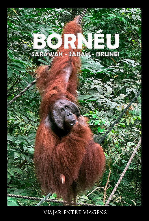 BORNÉU - Guia de viagem